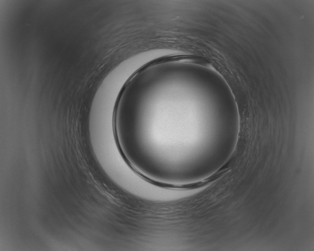 X0000083990750200702232111