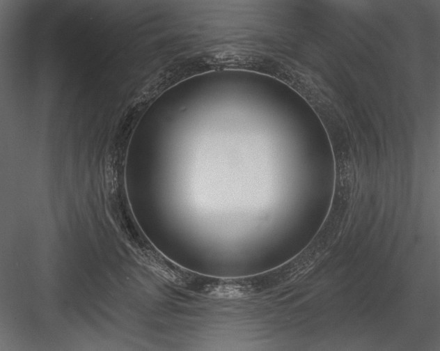 X0000083990751200702232111