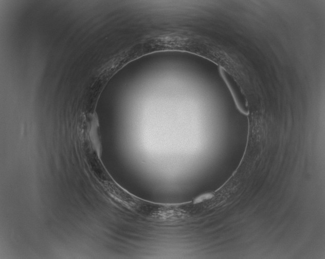 X0000083990752200702232111