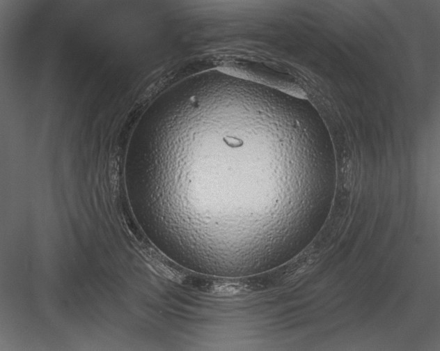 X0000083990753200702232111