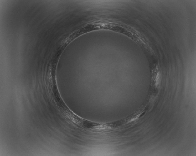 X0000083990754200702232111