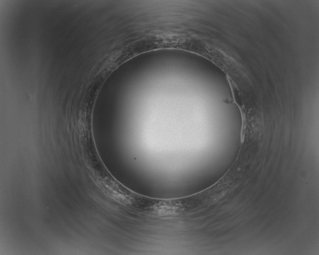 X0000083990756200702232111