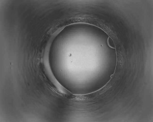 X0000083990758200702232111