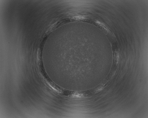 X0000083990760200702232111