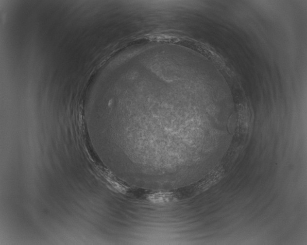 X0000083990761200702232111