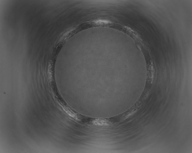 X0000083990762200702232111