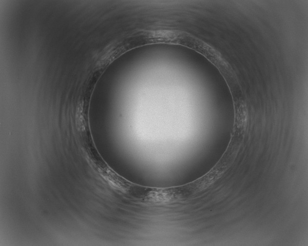 X0000083990764200702232111