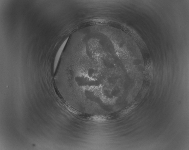 X0000083990765200702232111