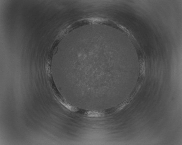 X0000083990766200702232111