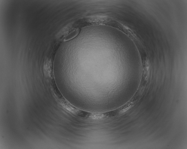 X0000083990767200702232111