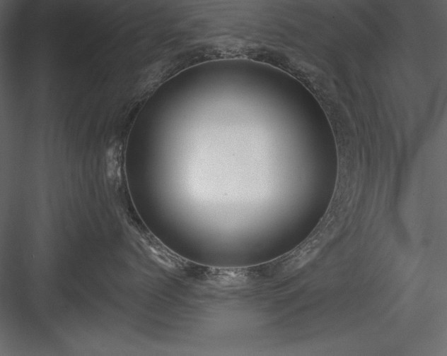 X0000083990768200702232111