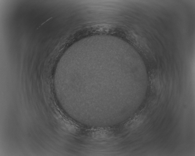 X0000083990769200702232110