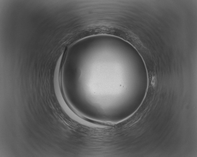 X0000083990771200702232110