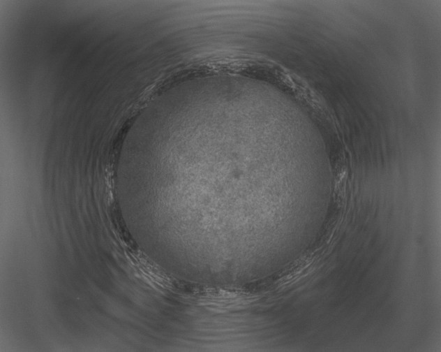 X0000083990772200702232110