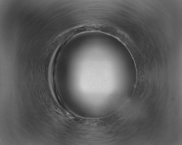 X0000083990773200702232110