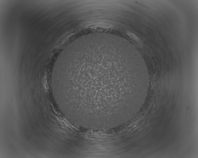 X0000083990774200702232110