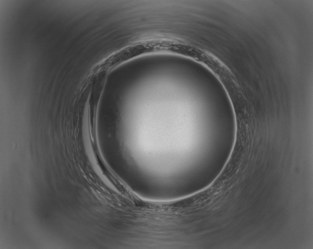 X0000083990775200702232110