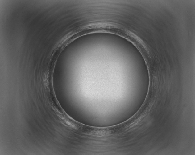 X0000083990778200702232110