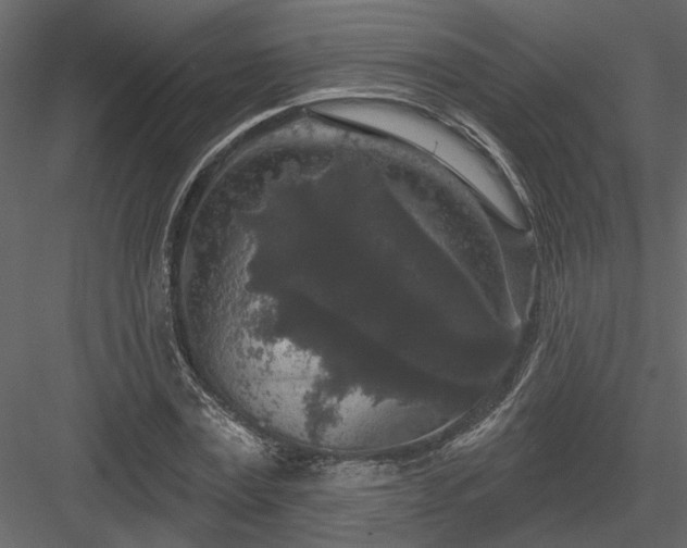 X0000083990779200702232110