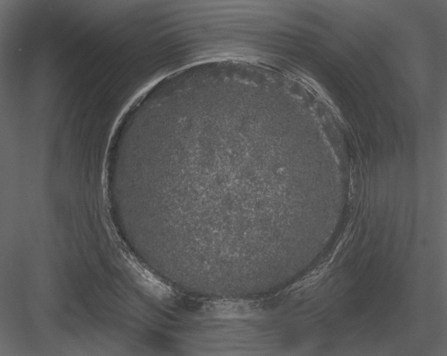 X0000083990780200702232110