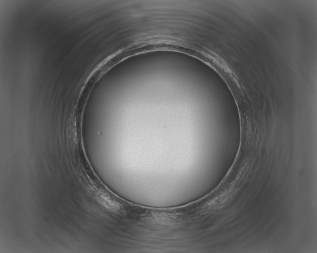 X0000083990782200702232110