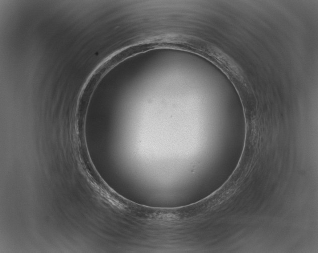 X0000083990784200702232110