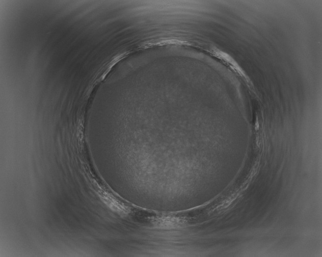 X0000083990785200702232110