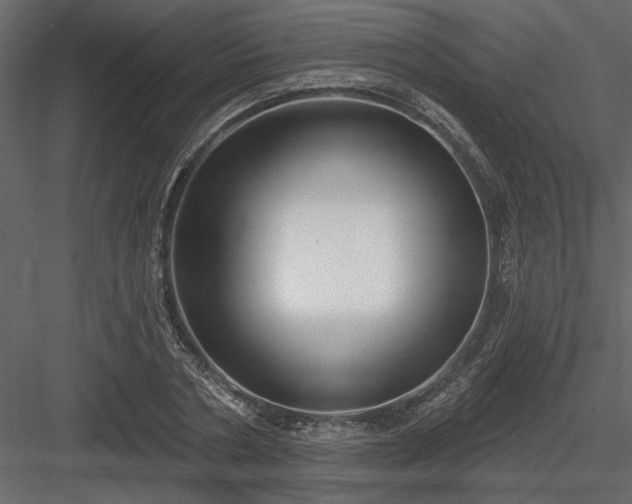 X0000083990786200702232110