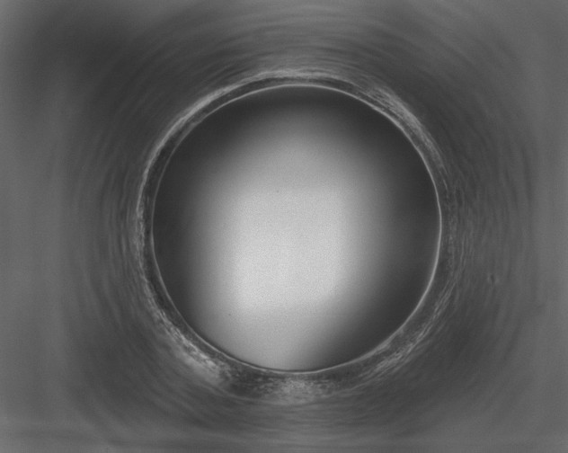 X0000083990787200702232110