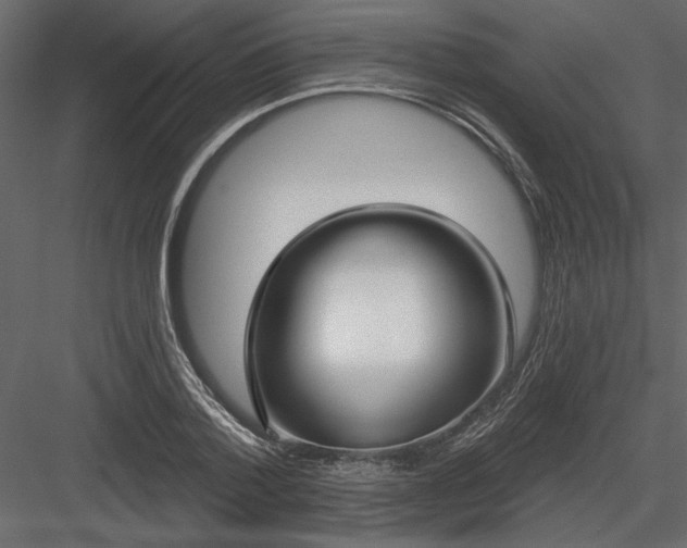 X0000083990788200702232110