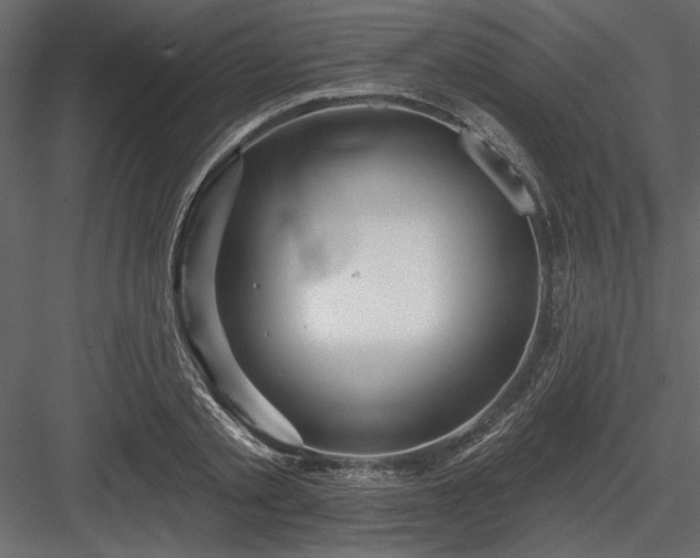 X0000083990789200702232110