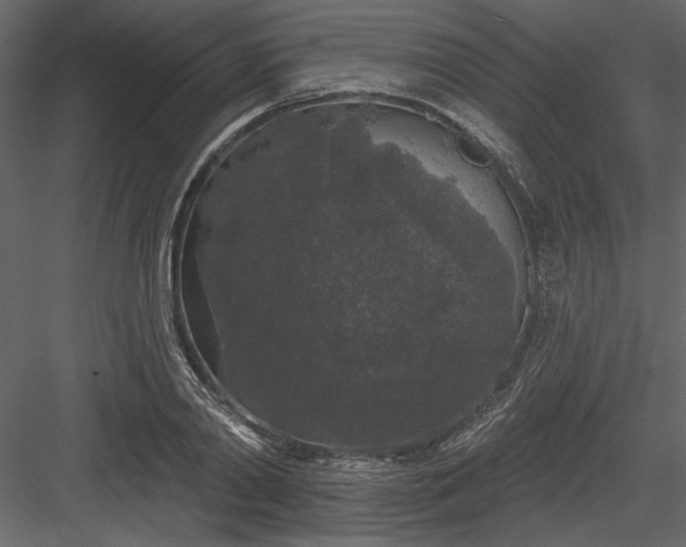 X0000083990790200702232110