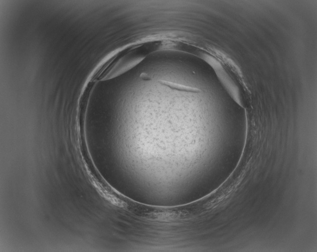 X0000083990792200702232110