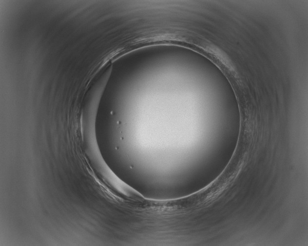 X0000083990793200702232110