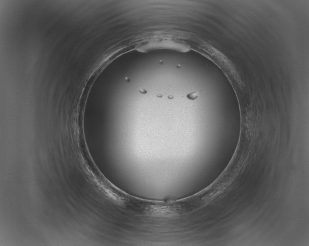 X0000083990794200702232110