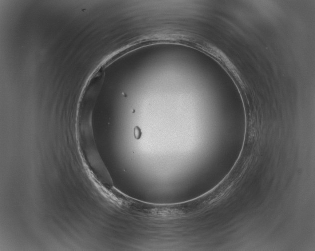 X0000083990795200702232110