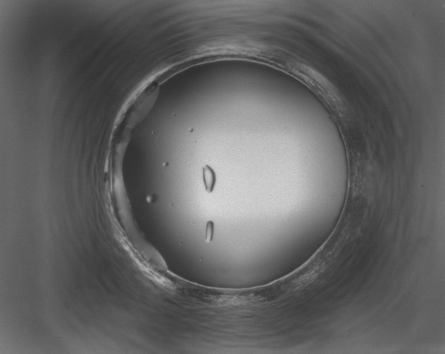 X0000083990796200702232110