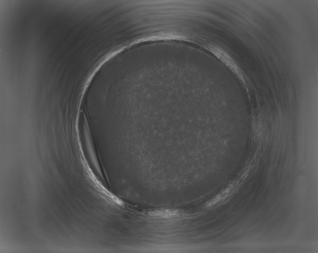 X0000083990797200702232110