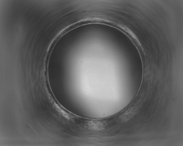 X0000083990799200702232110