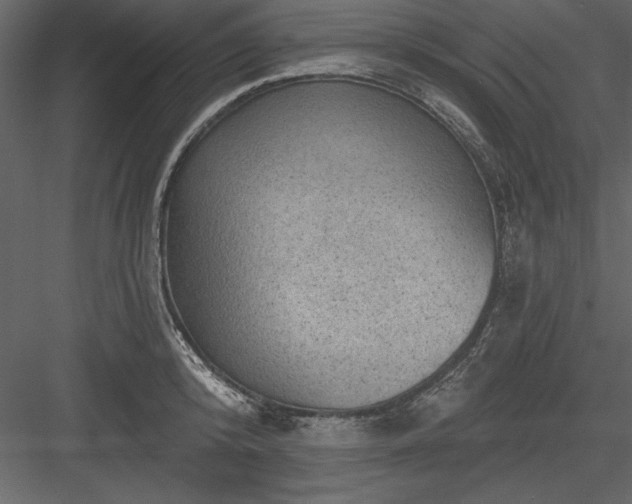 X0000083990800200702232110