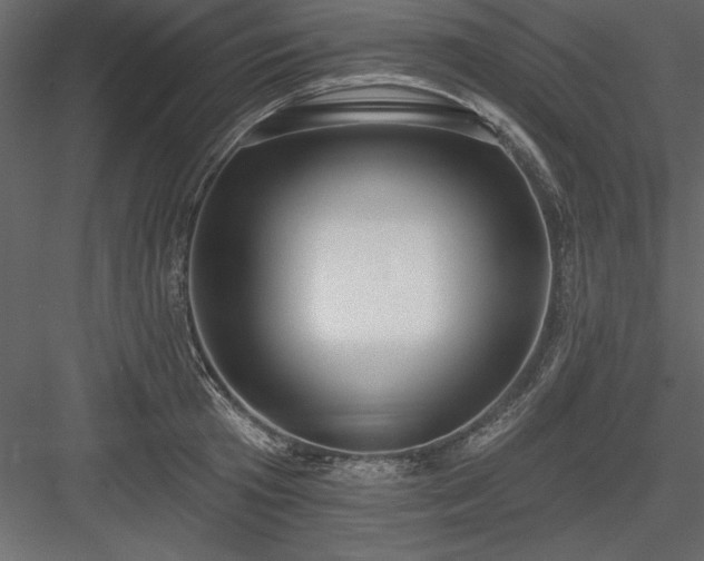 X0000083990801200702232109