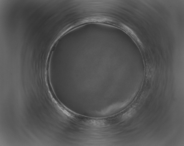 X0000083990802200702232109