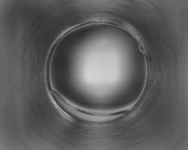 X0000083990803200702232109