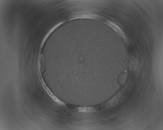 X0000083990804200702232109