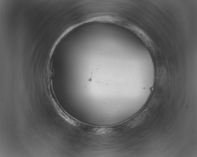 X0000083990808200702232109