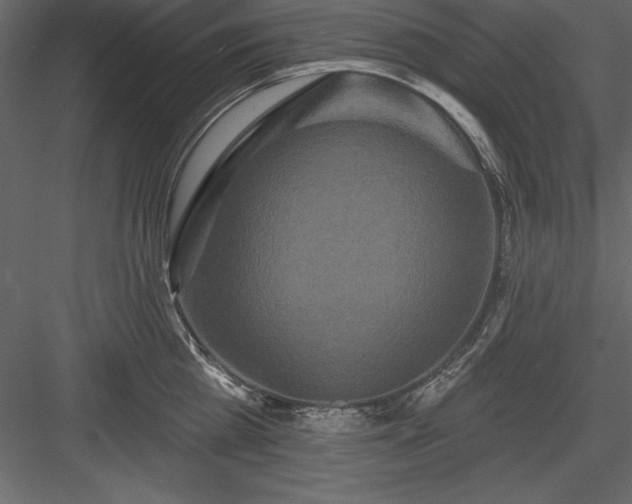 X0000083990809200702232109