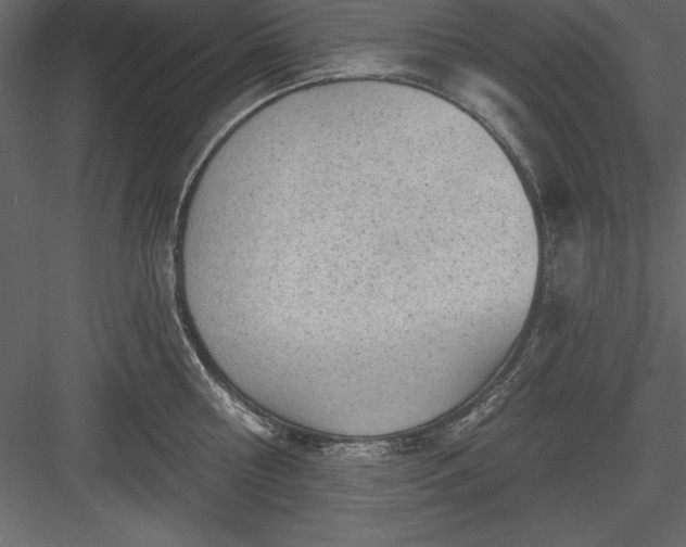 X0000083990810200702232109