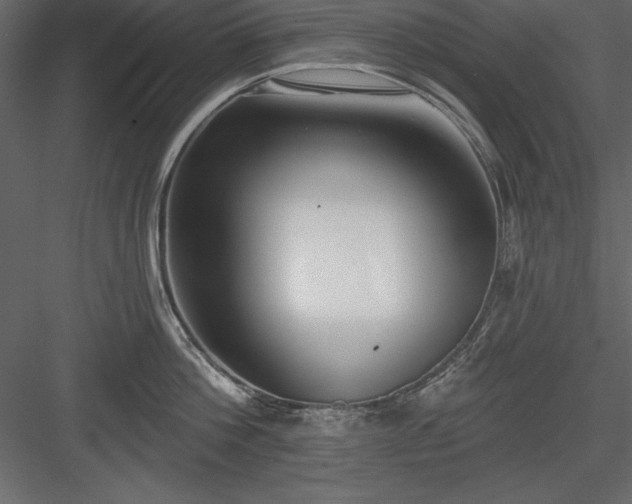 X0000083990812200702232109