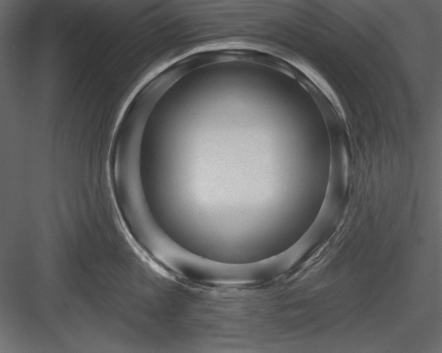 X0000083990813200702232109