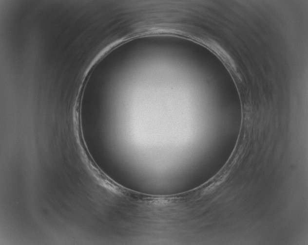 X0000083990814200702232109